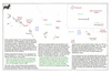 car09 west pacific_thumb.gif